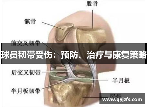 球员韧带受伤：预防、治疗与康复策略