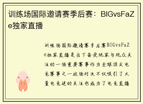 训练场国际邀请赛季后赛：BIGvsFaZe独家直播