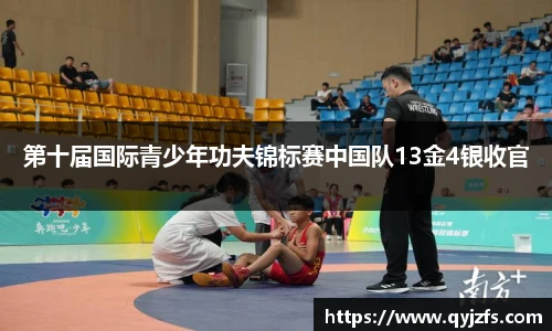 第十届国际青少年功夫锦标赛中国队13金4银收官